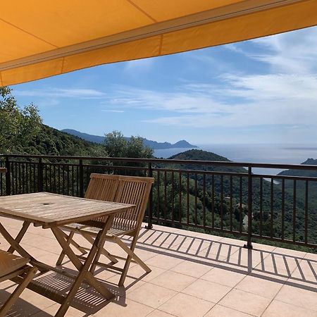 Appartement Les Asphodèles à Partinello Extérieur photo
